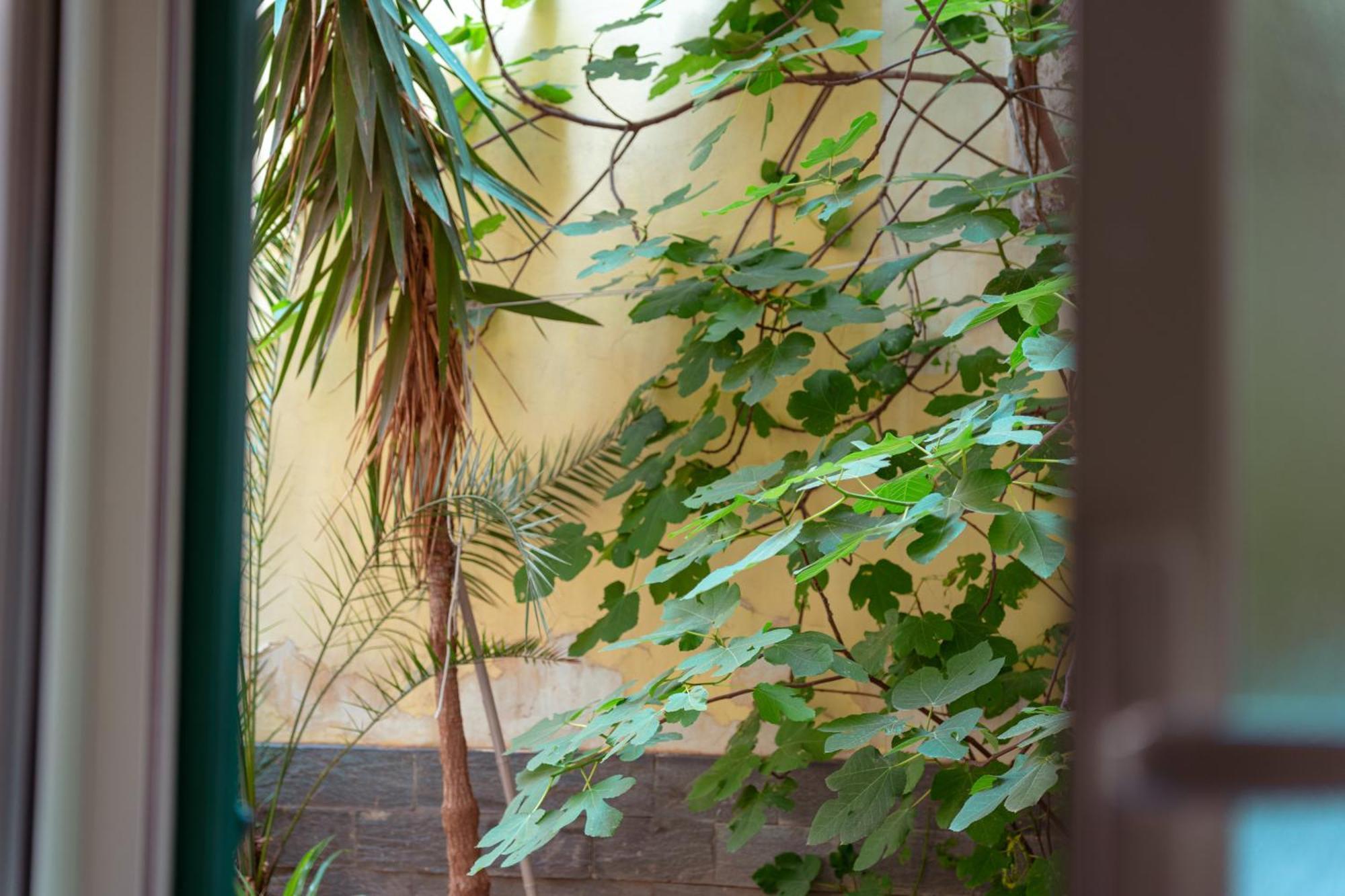 הוילה קטאניה Monserrato House מראה חיצוני תמונה